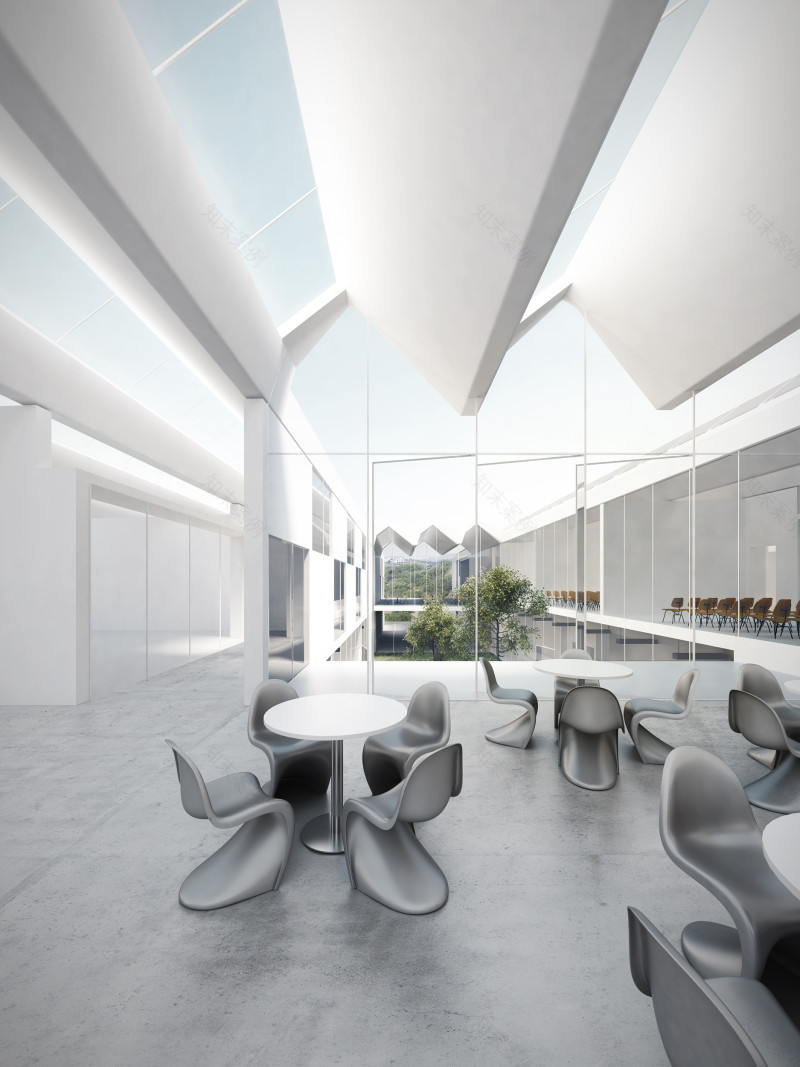 生物气候学派——伊斯顿·康姆斯-3