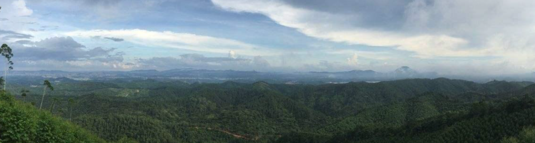 华侨城古劳水乡项目A地块商业街丨中国江门丨佛山市顺德建筑设计院股份有限公司-11