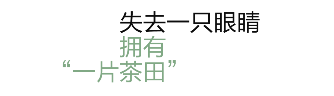 安吉观景平台及茶室丨中国浙江丨HATCH 汉齐建筑-44