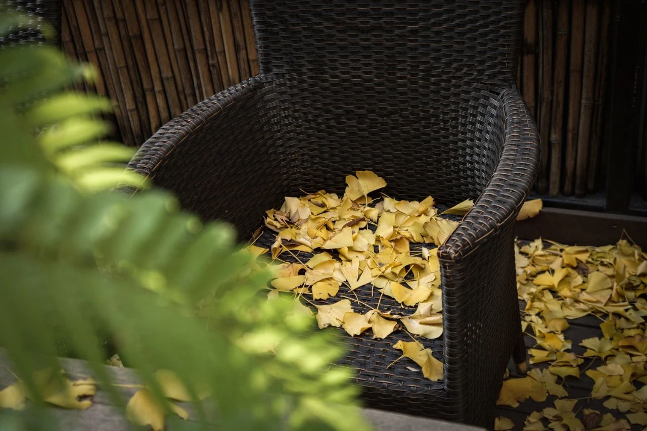 萧氏设计办公楼丨中国上海丨萧爱彬设计-26