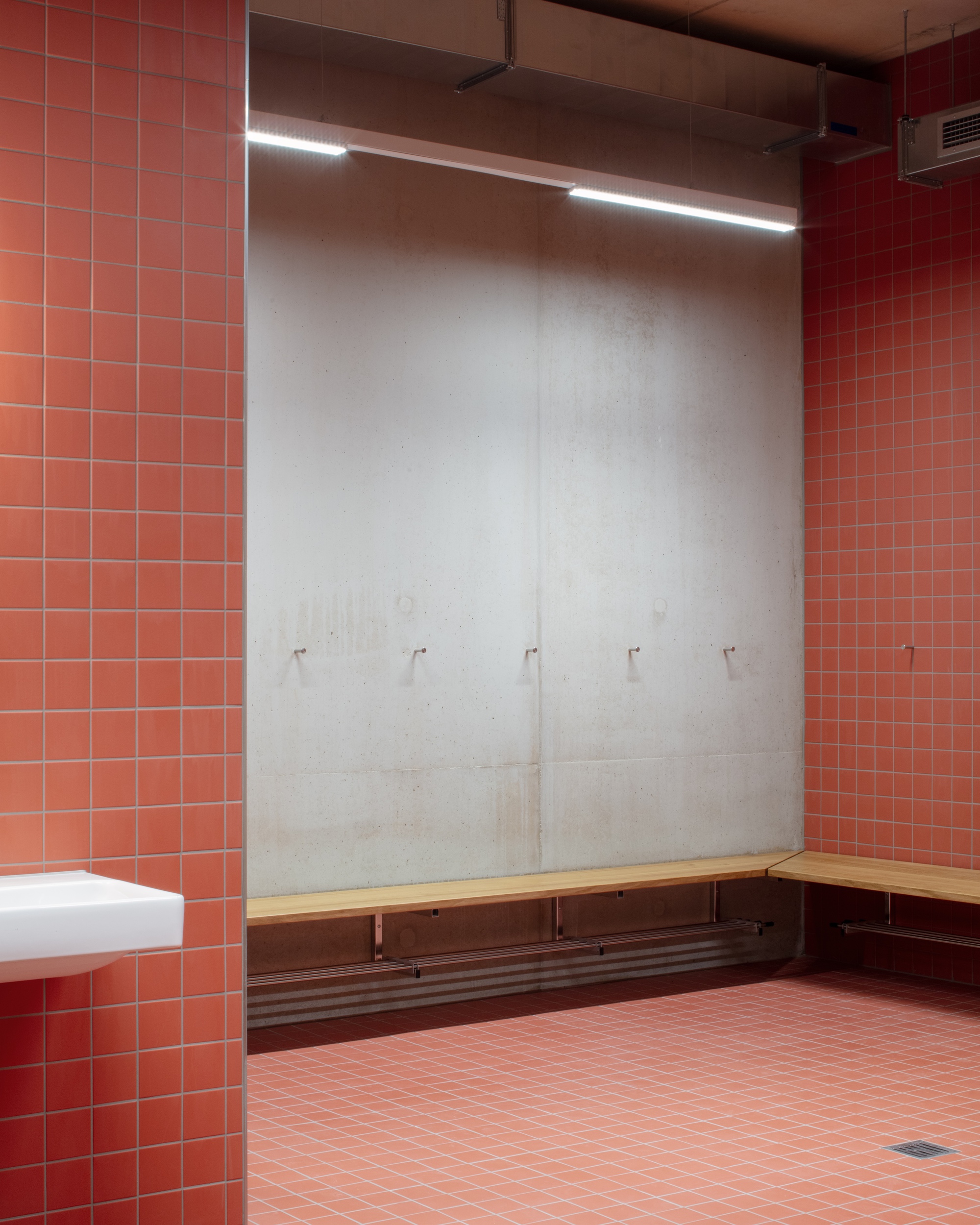Collège des Parcs School Extension and two Sport Halls / Stoa architectes-41