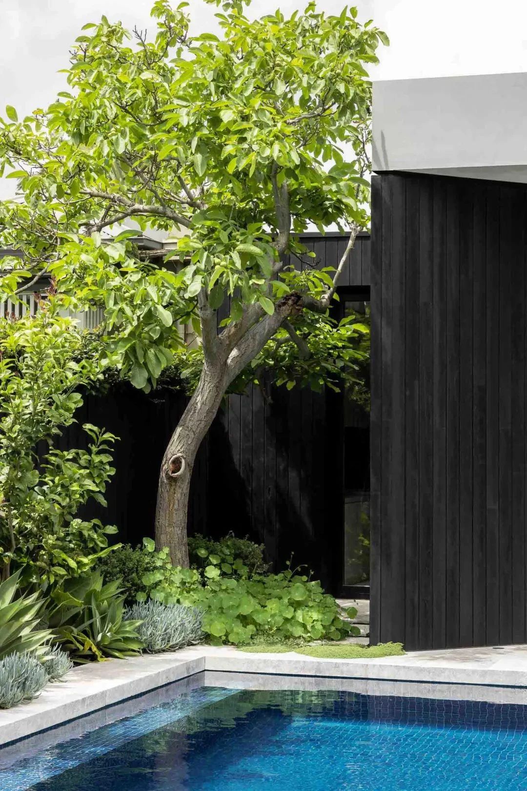 Adelaide Villa 别墅设计丨澳大利亚墨尔本丨Mim Design-27