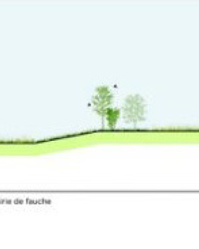 巴黎勒布尔热机场及通用航空机场发展,景观和生物多样性总体规划丨法国丨Champ Libre,Trans Faire