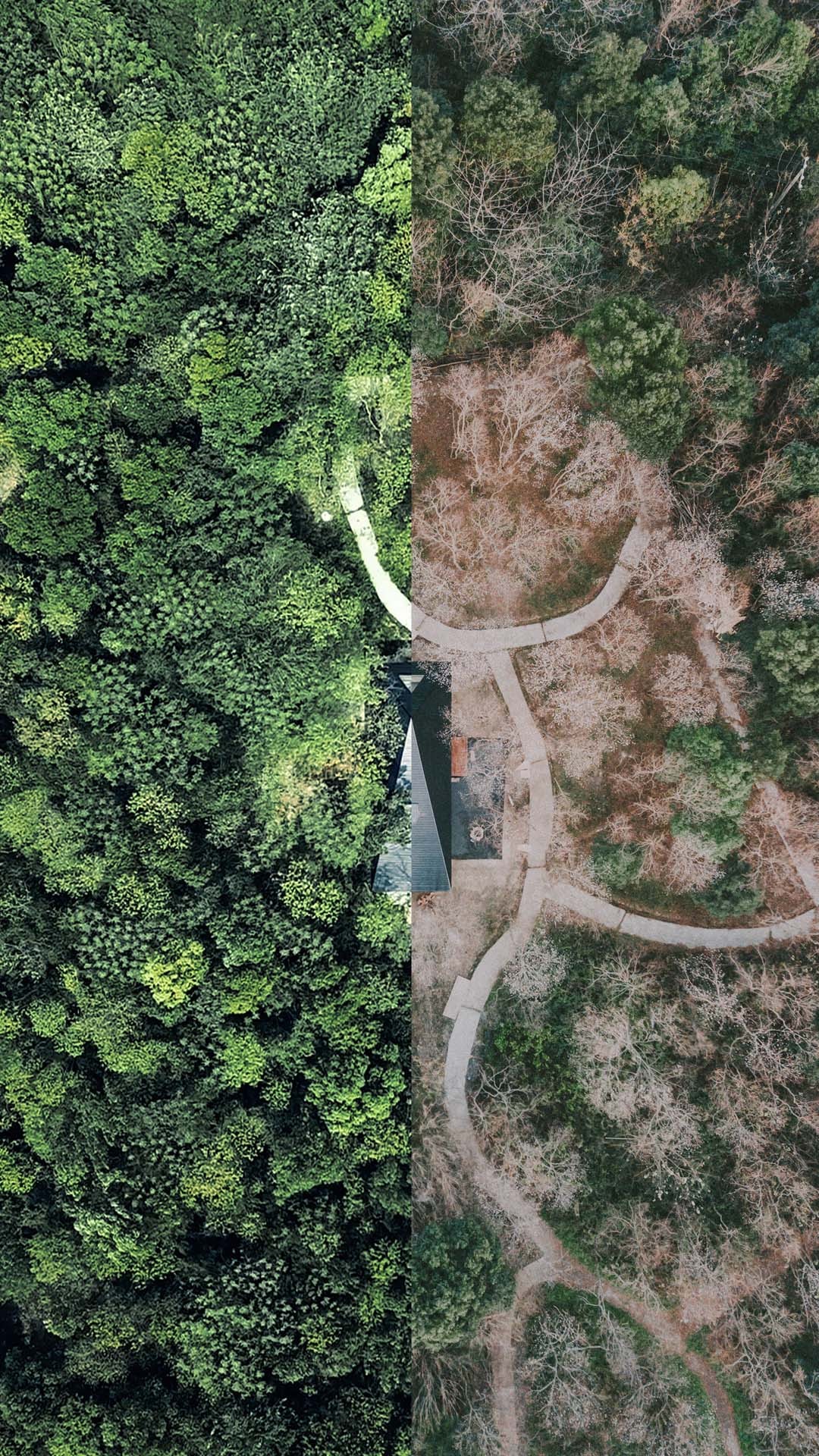 方舟小屋丨中国武汉-35