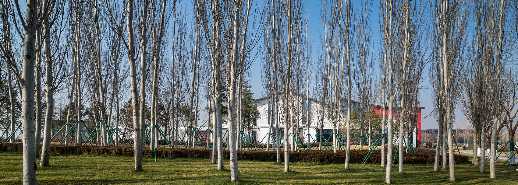 昆明池·婚俗文化体验馆及公园配套服务设施丨中国昆明丨中国建筑西北设计研究院-17