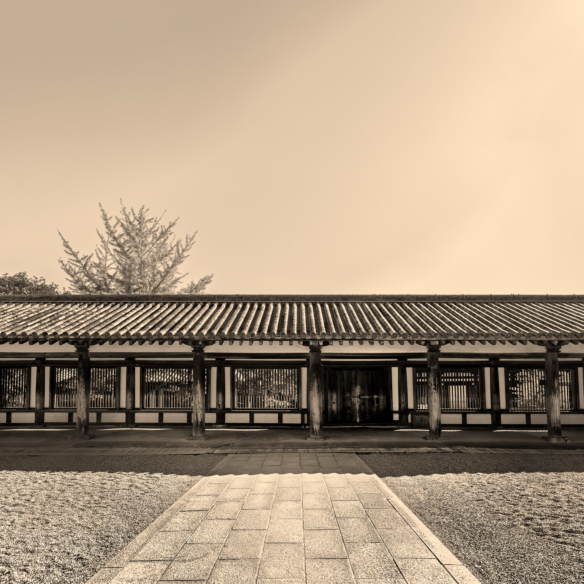 HORYUJI,最古老的木制建筑丨日本奈良丨HashiLaboratory-4