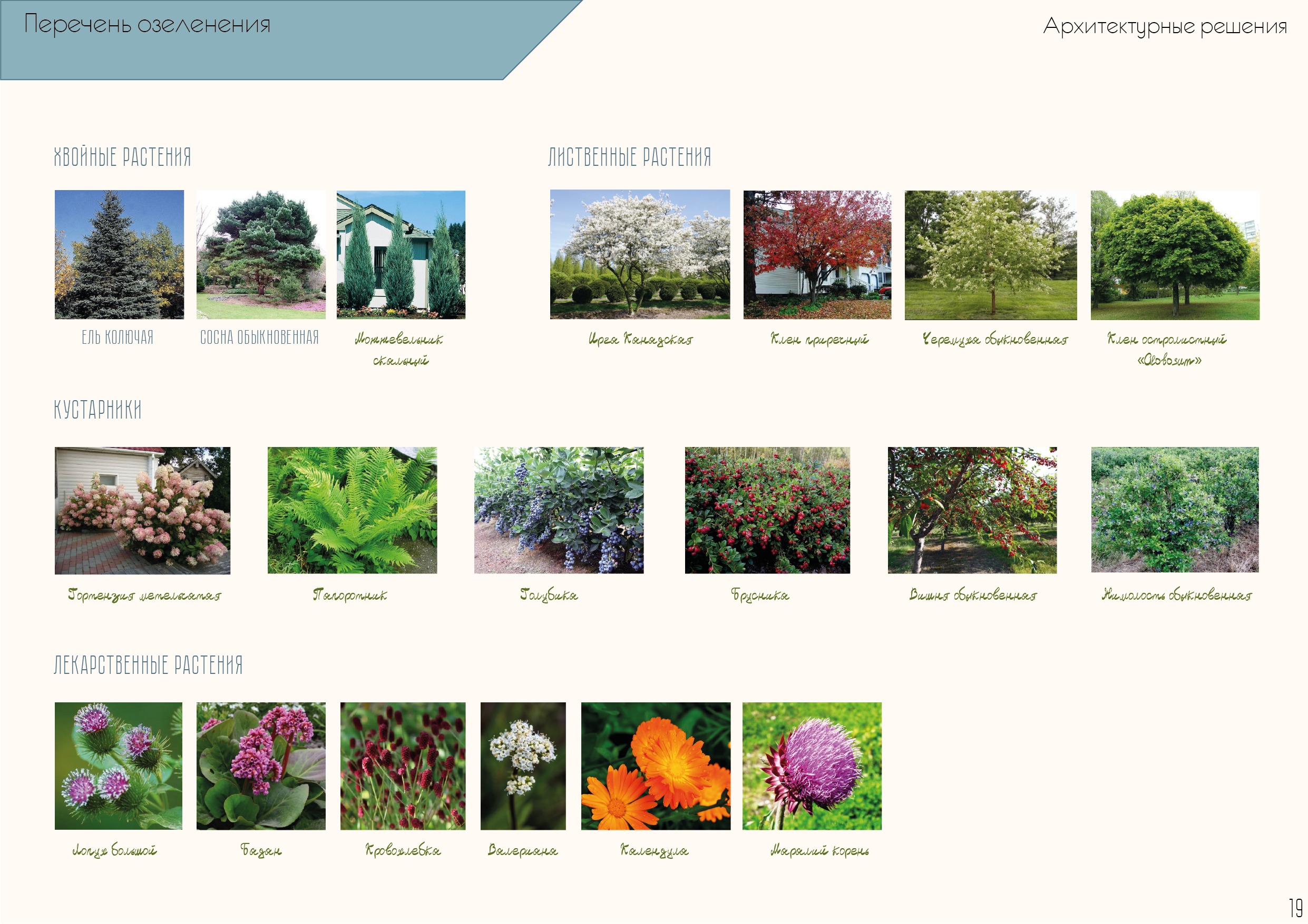 “花园西伯利亚”广场改善项目-35