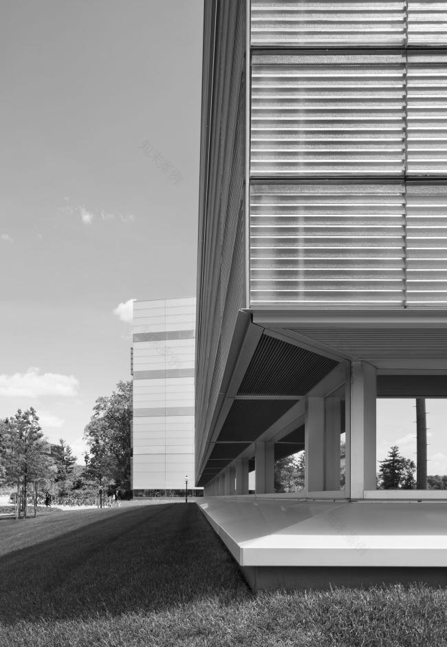 普林斯顿大学神经生物学与心理学综合体丨美国新泽西丨拉斐尔·莫内奥,Davis Brody Bond-26