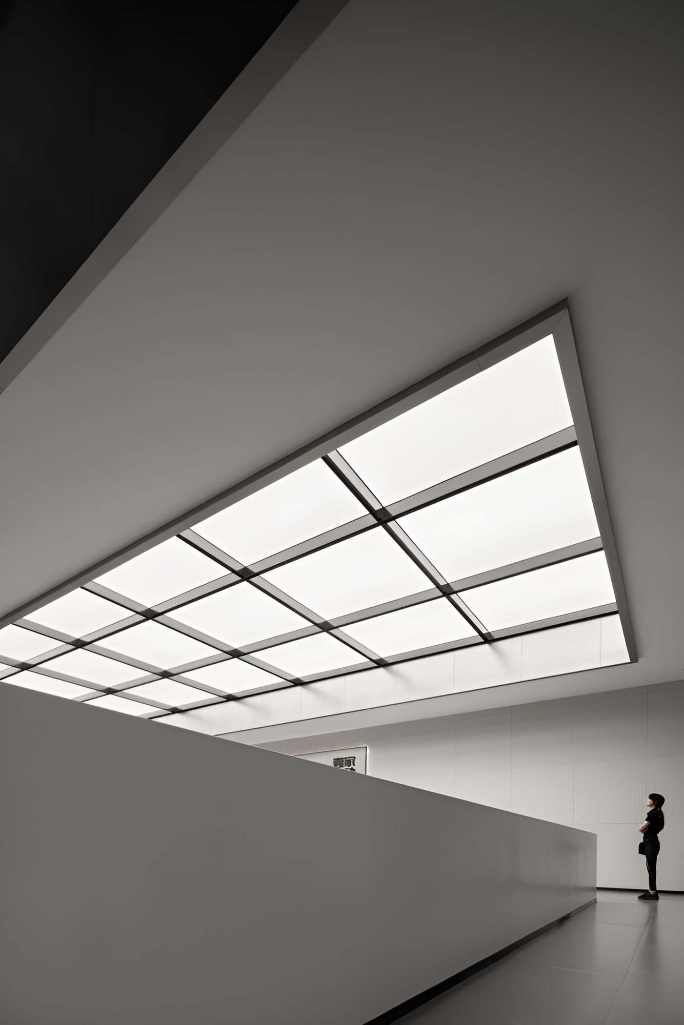 壹家•健身丨中国云南丨CUN 寸匠FF-5