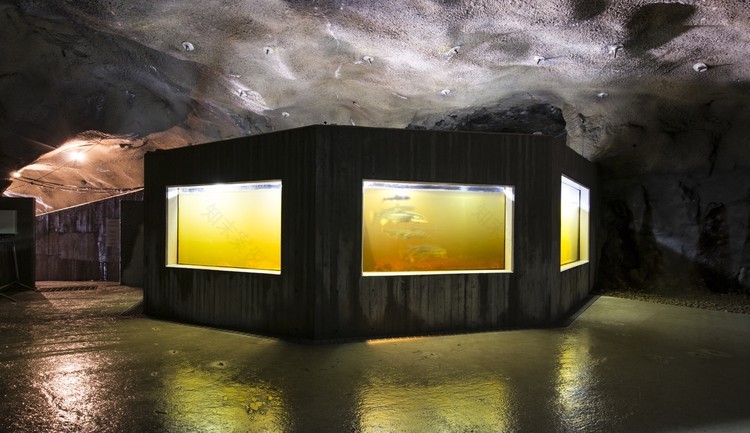 Kvåsfossen Rever - Drage Architects-41