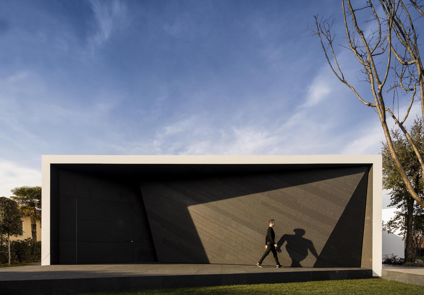 Diamond Tree（钻石树）-0