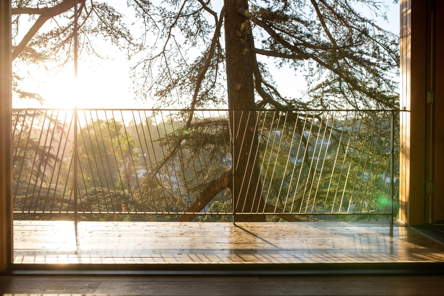 洛杉矶回声公园树中屋-13