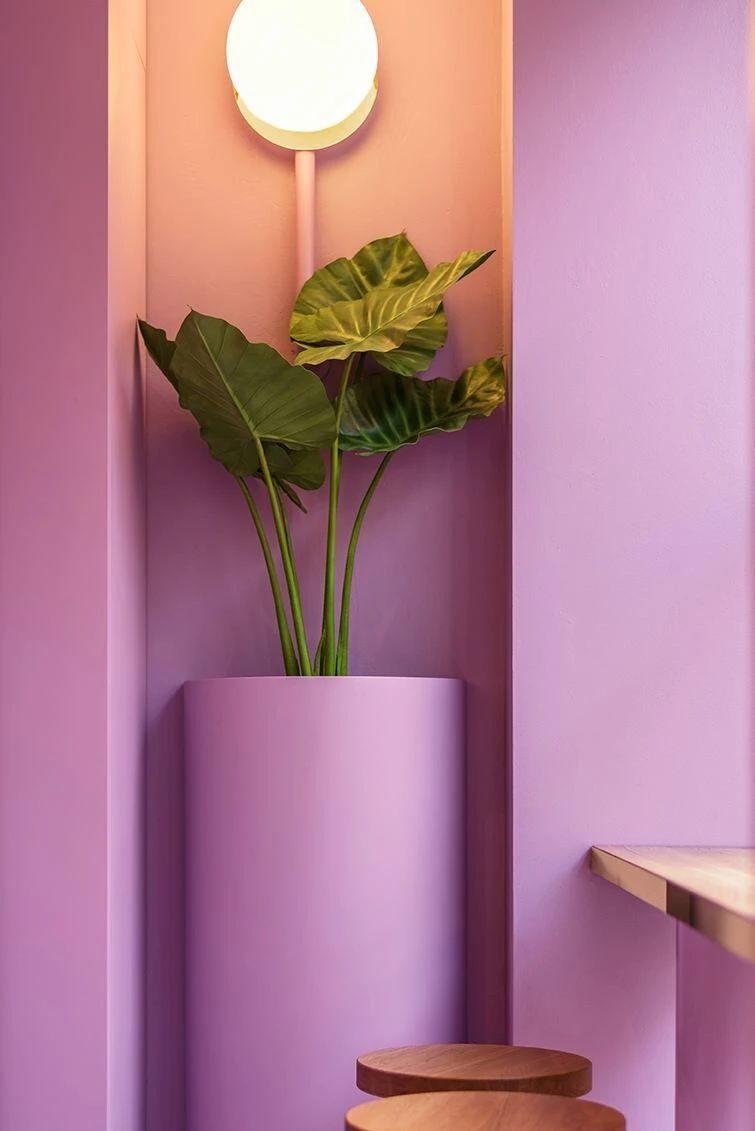 位于西班牙惠斯卡市的美食健康餐厅-53