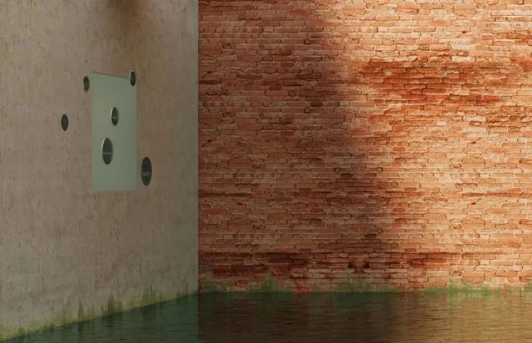 卢志荣作品辑-156