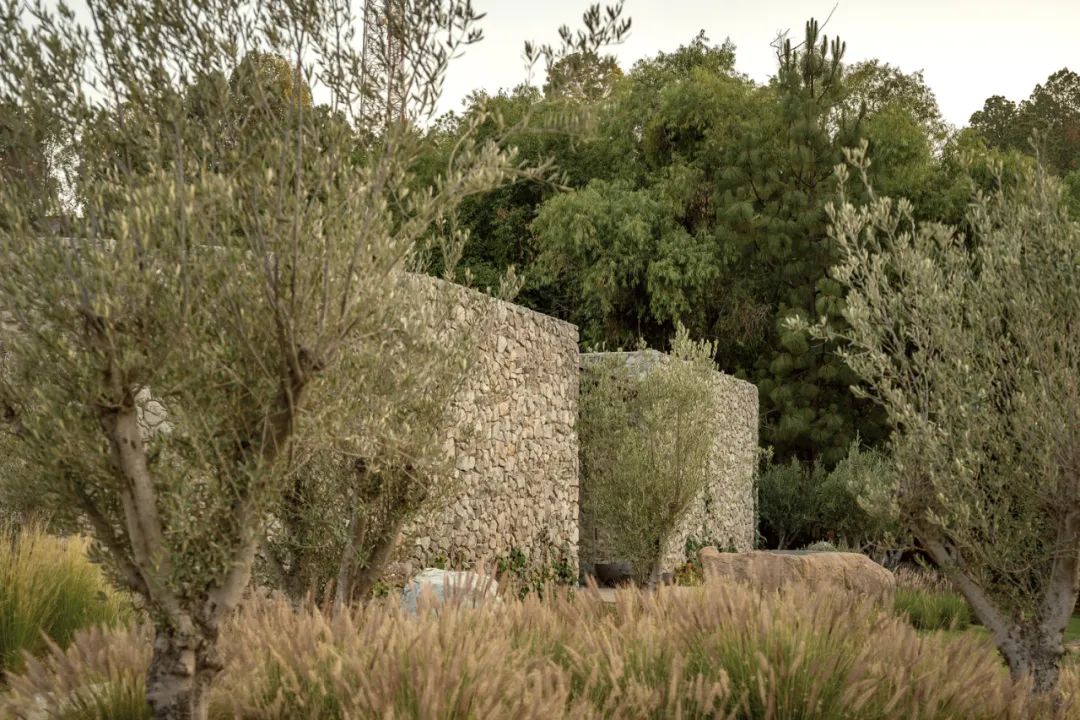 Van Van Atelier | 在地的融合-30