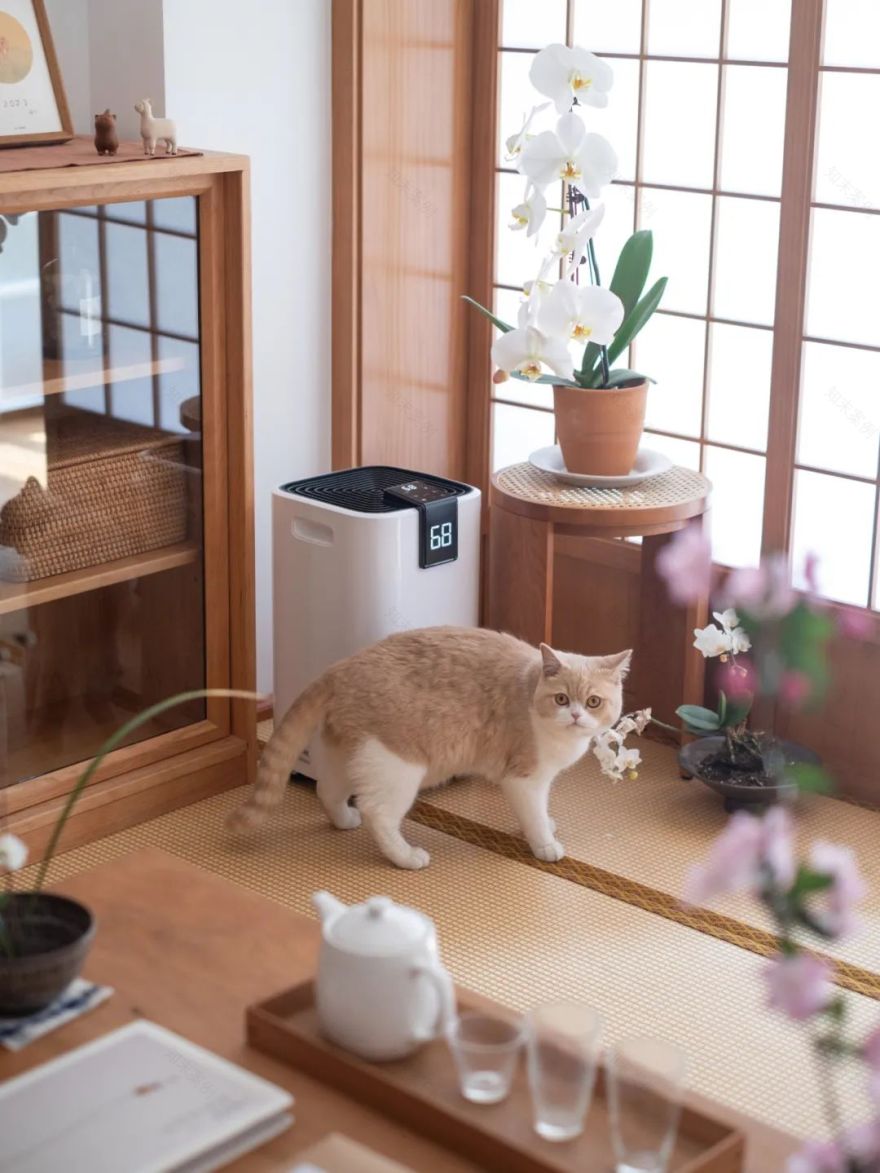 榻榻米设计 · 实用与美观兼具的居家选择丨中国宁波-80