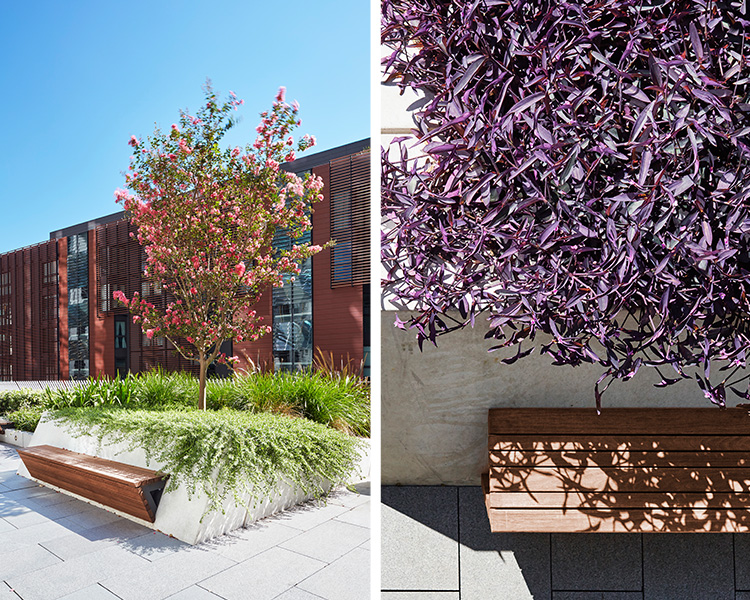 悉尼国际塔楼丨澳大利亚悉尼丨ASPECT | OCULUS-6