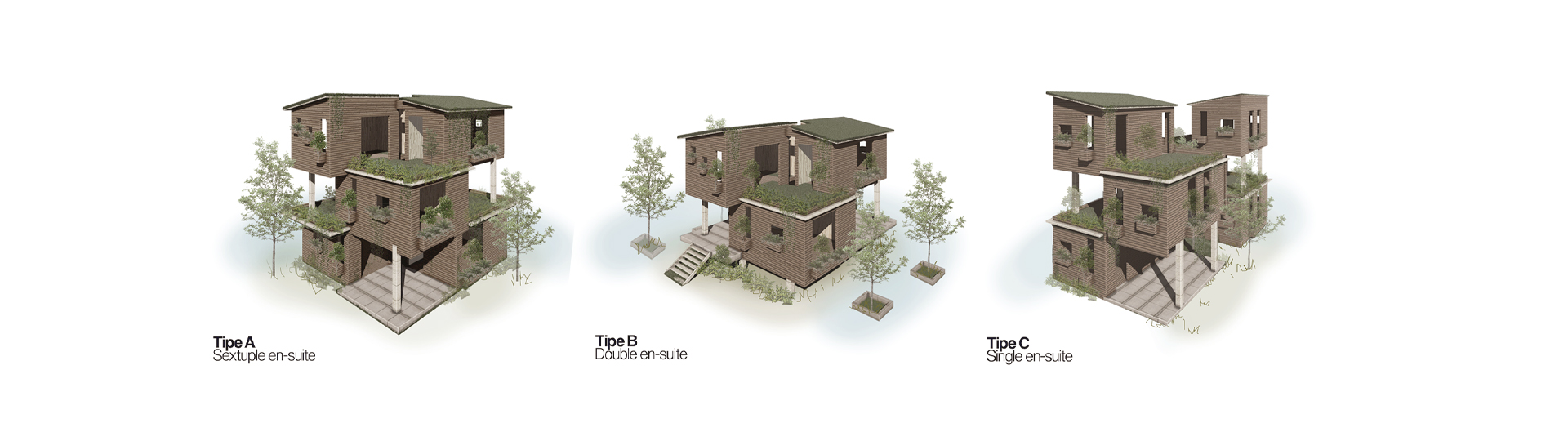 Insideout 居住景观设计丨印度丨Tana Harita-20