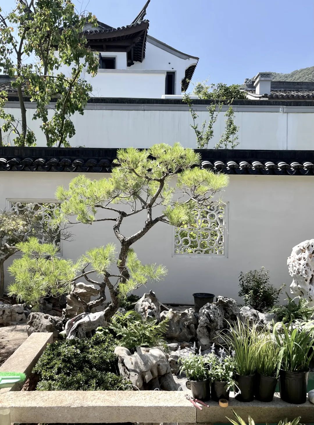 玲珑园 · 诗意的中式庭院设计丨OneGarden-16