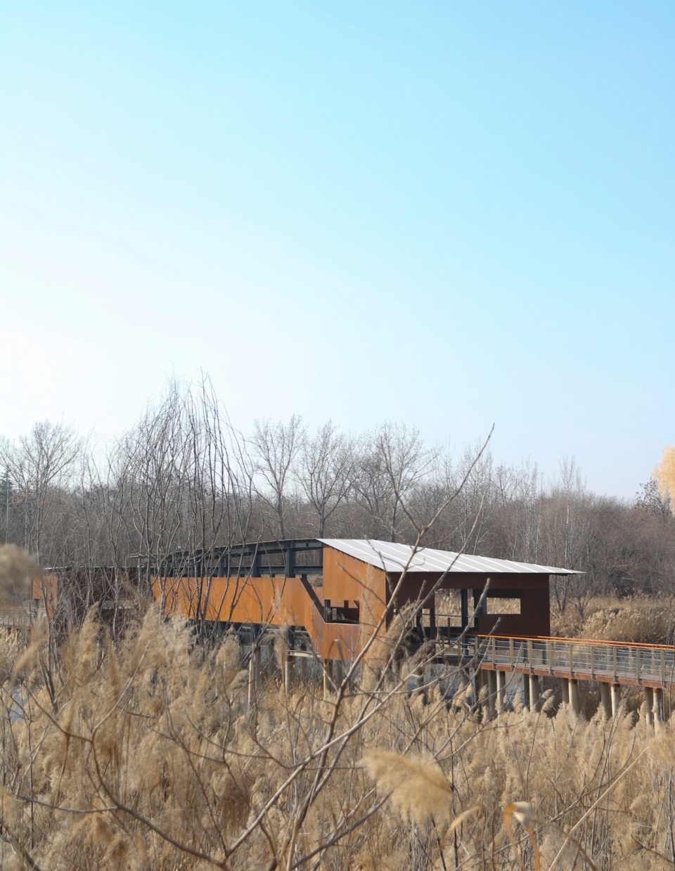 芦苇廊,观鸟屋等·邢襄生态园景观建筑系列丨中国河北丨北林风景建筑研究中心  段威工作室,上海领沃园林设计事务所  李工作室-42