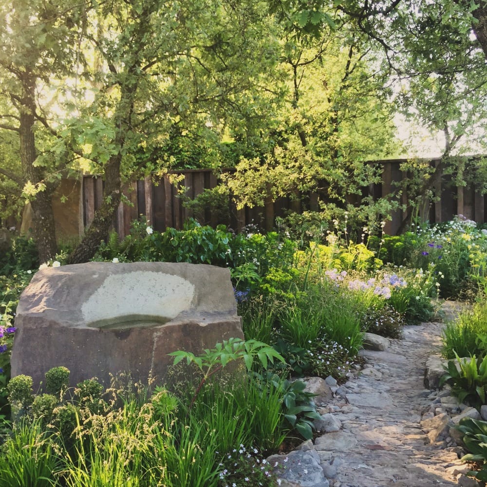 橡树林的回忆 | Cleve West 的 M&G 花园-16