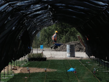 麻省理工科技评论：世界最大烂尾机场的再野化之路-119