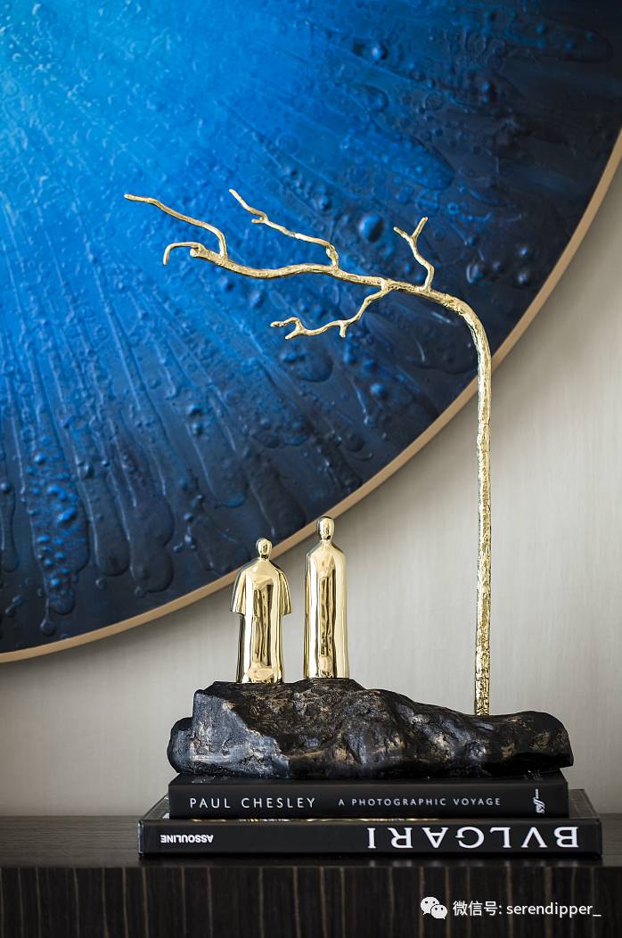 赛瑞迪普空间作品：苏州丰隆城市中心样板房设计-9