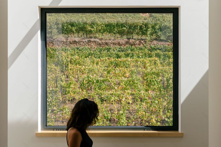 拉加尔宅邸丨Colajj-29