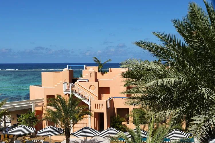 自然与设计的完美融合-66