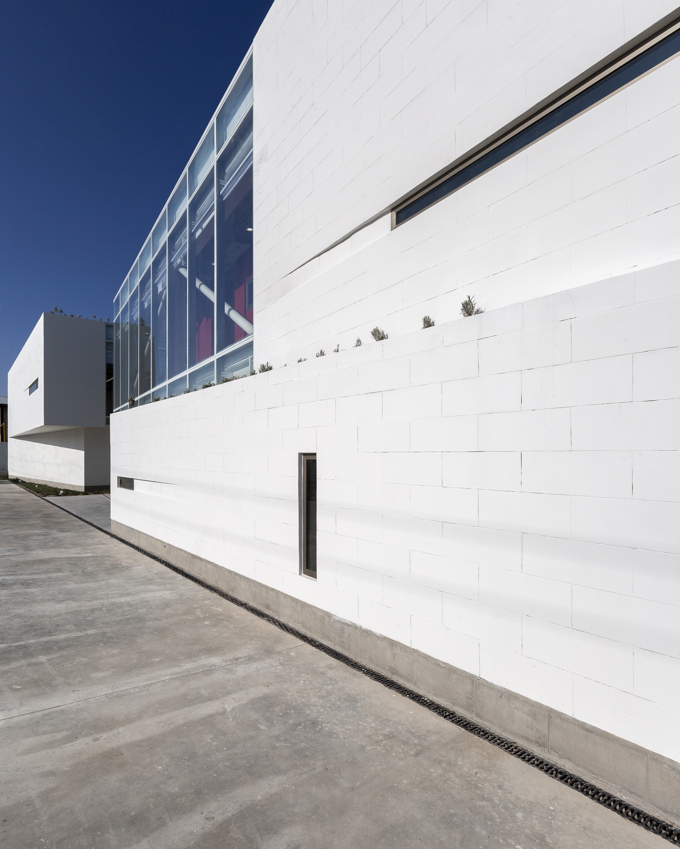 伊朗 Shamim 聚合物工厂丨Davood Boroojeni Office-31