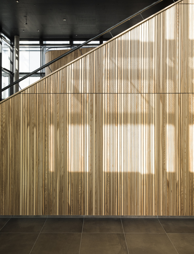 丹麦 Katrinedals 学校翻新融入城市,环保设计成社区活力中心-38