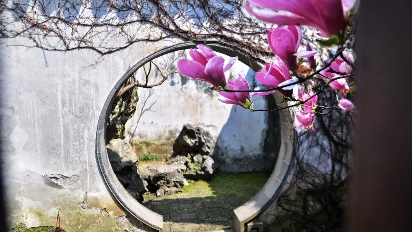 打卡留园，这样拍秒出大片！-39