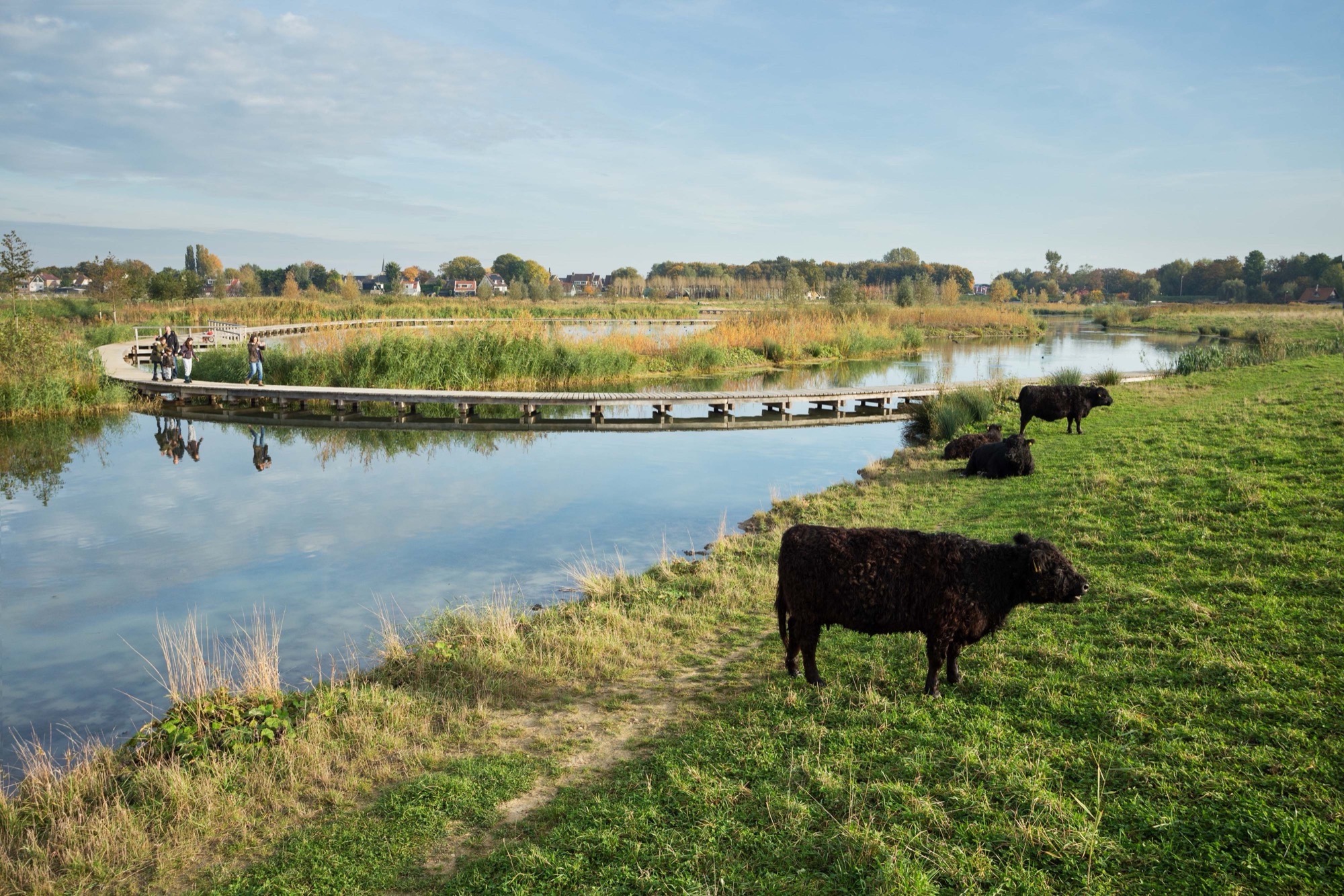 荷兰 Zuidpolder 景观公园-7