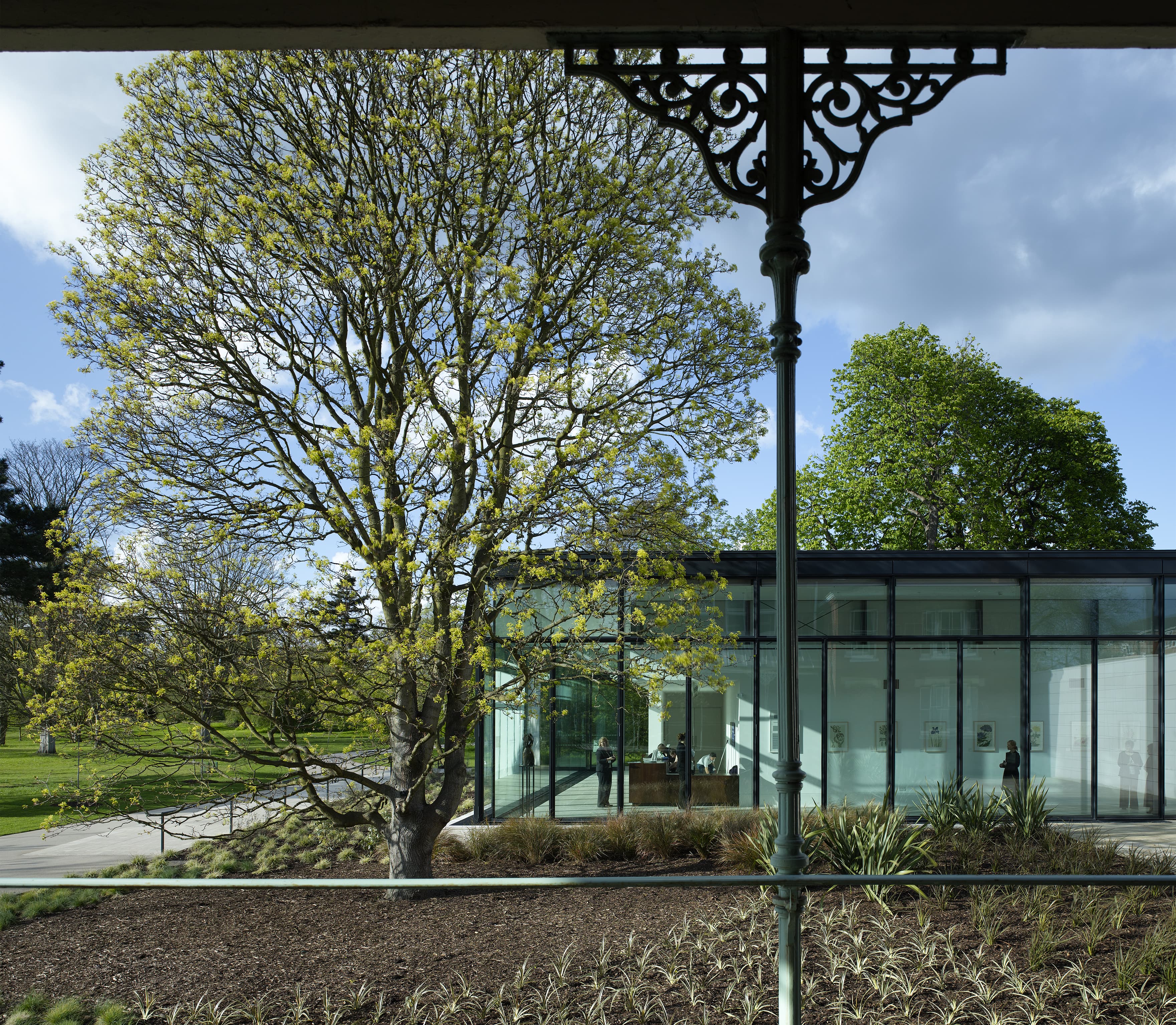 邱园植物艺术画廊（雪莉舍伍德美术馆）-13