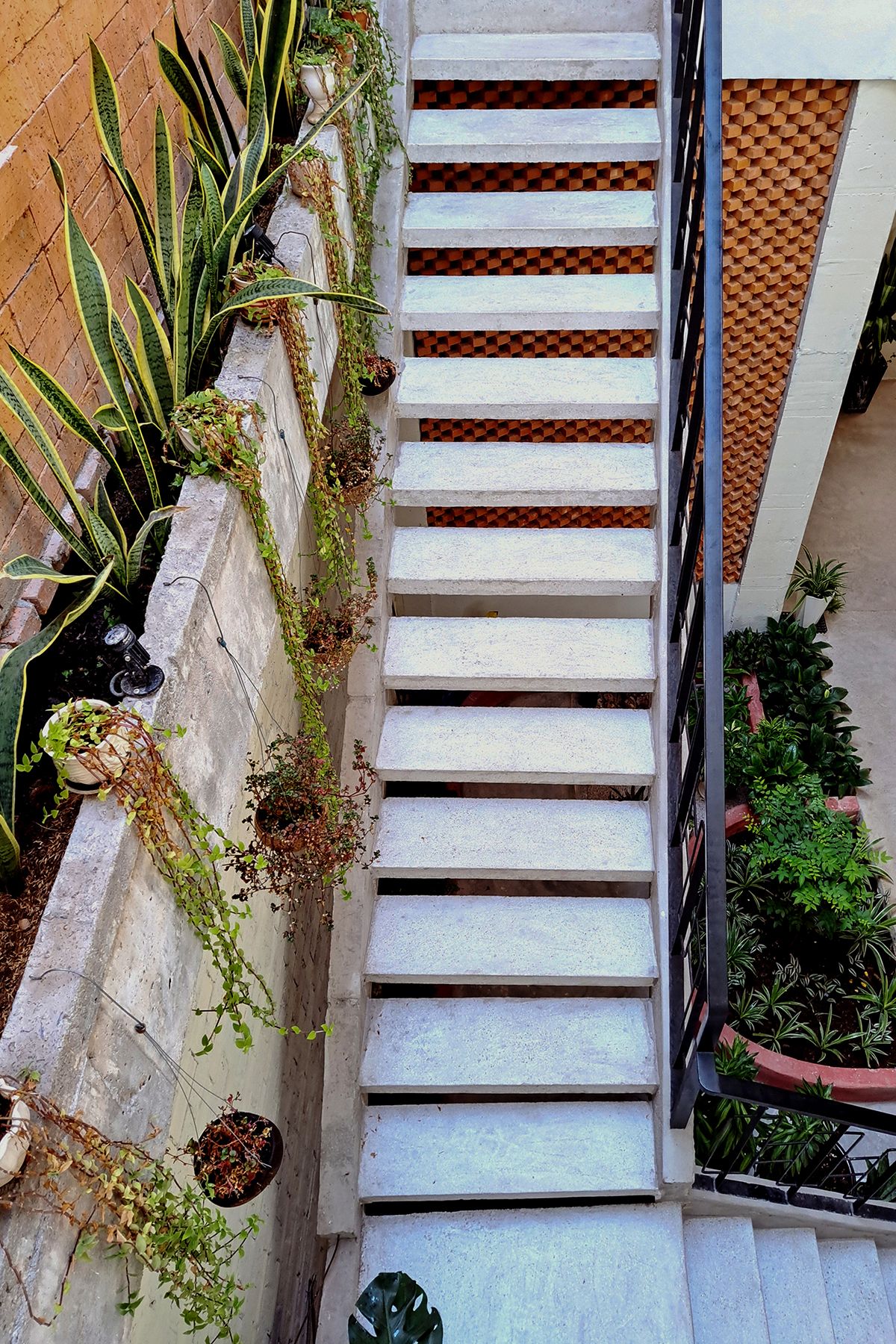 小红楼 | 2 米宽的温馨之家-13