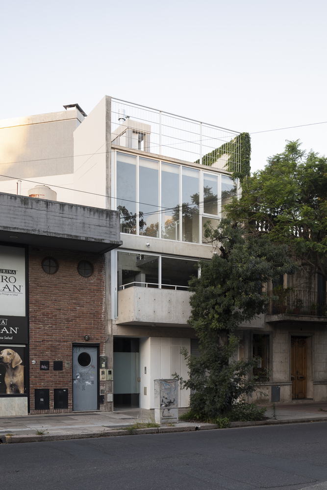 林荫道之居 · 阿根廷别墅设计丨阿根廷布宜诺斯艾利斯丨bakro-44