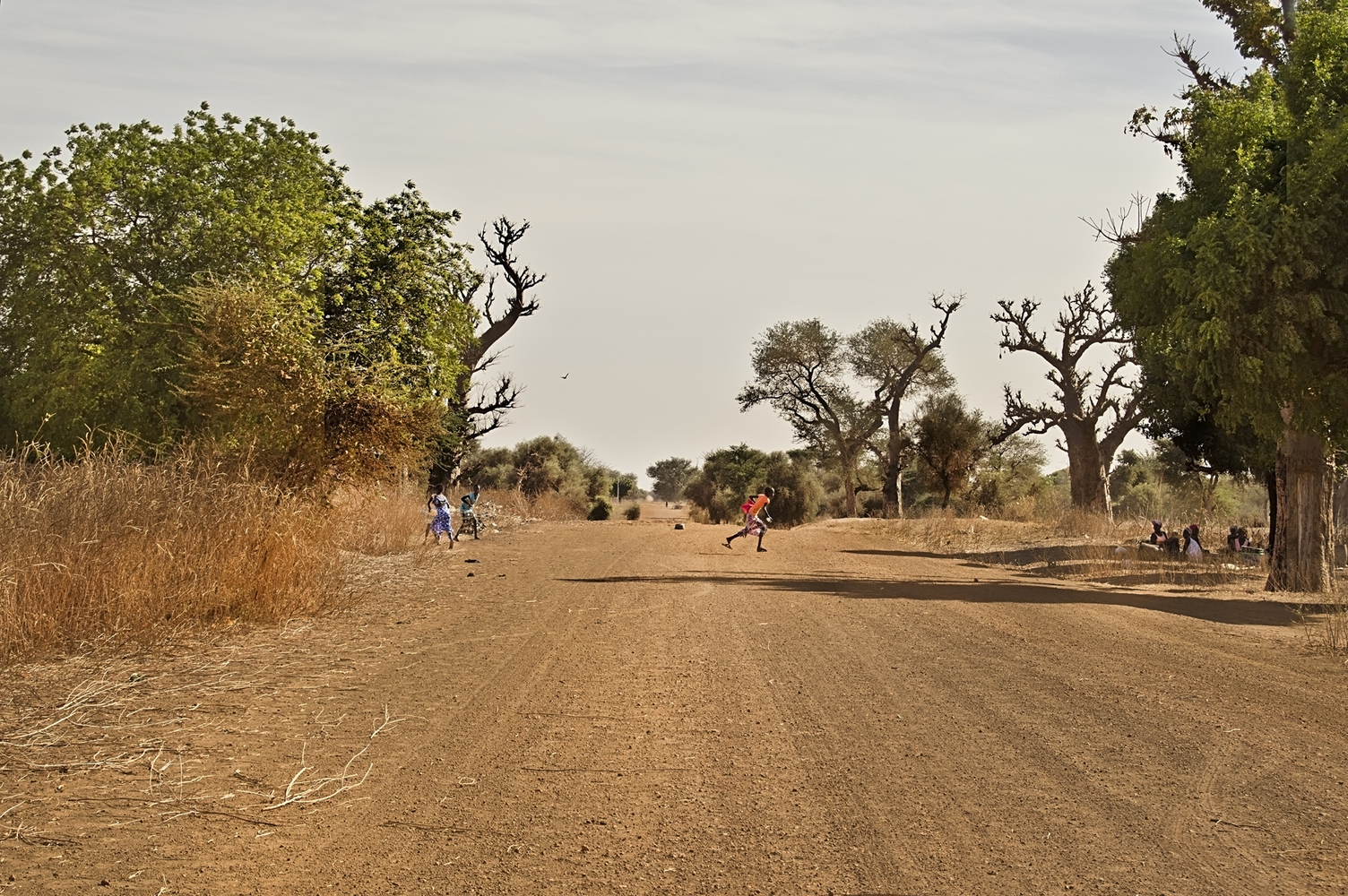 Lecture Building at the Alioune Diop University  IDOM-65