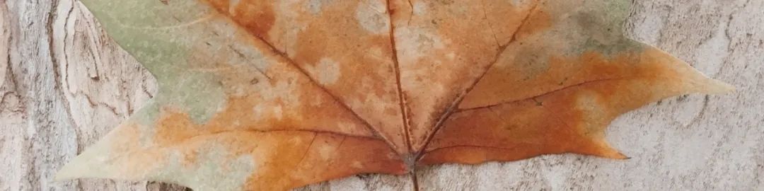 南京喜茶金茂汇店 | 古城墙下的现代茶空间-20