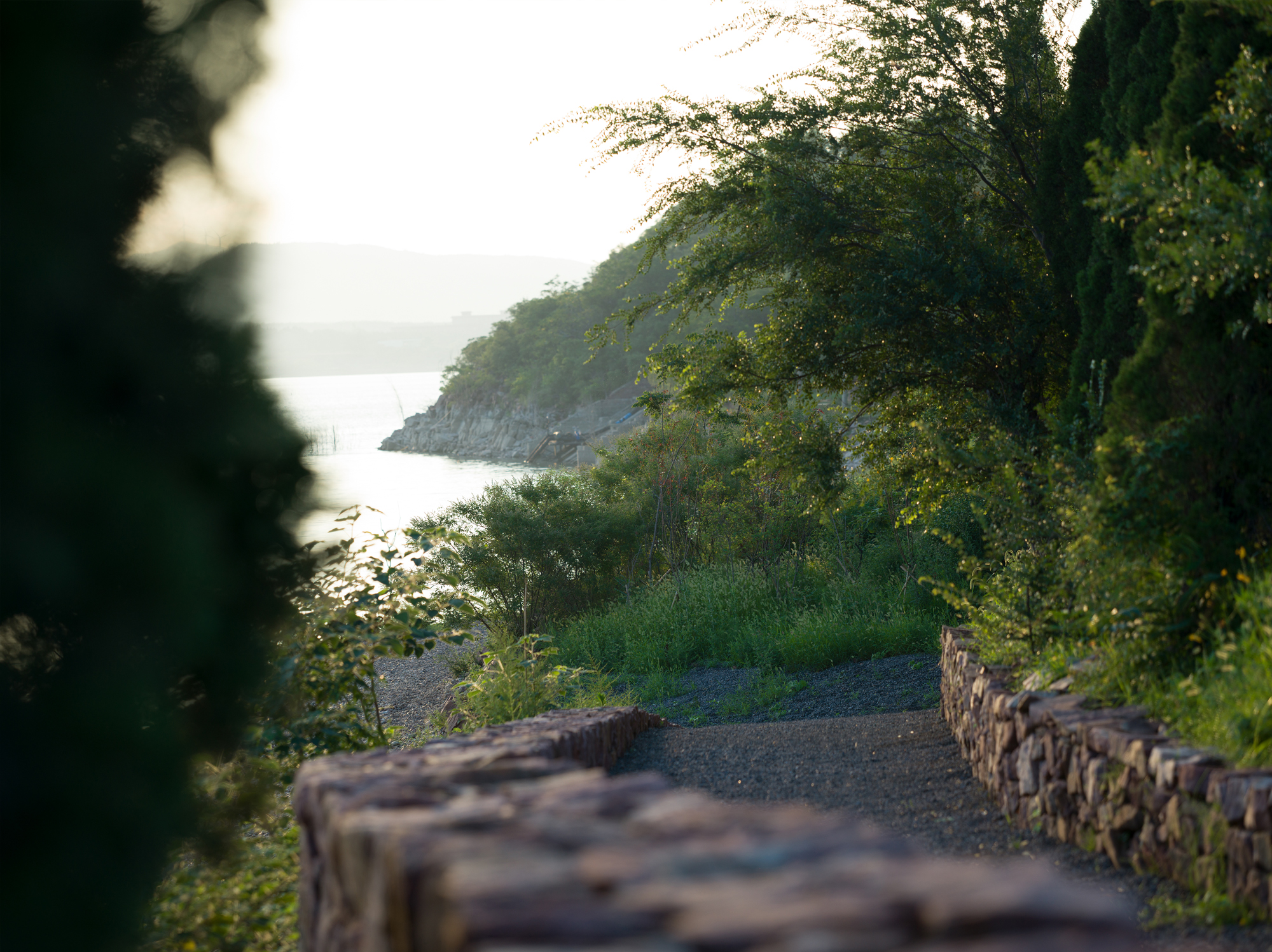 谷堆白沙 一期 景观丨中国白沙丨boll是园-135