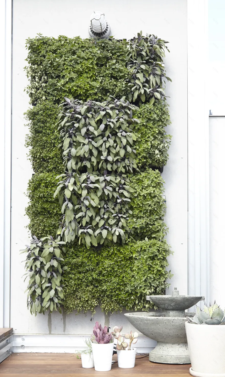 爱彼迎生态舱丨法国尼斯-59