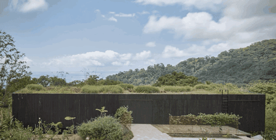 Atelier别墅，哥斯达黎加 / FORMAFATAL-12