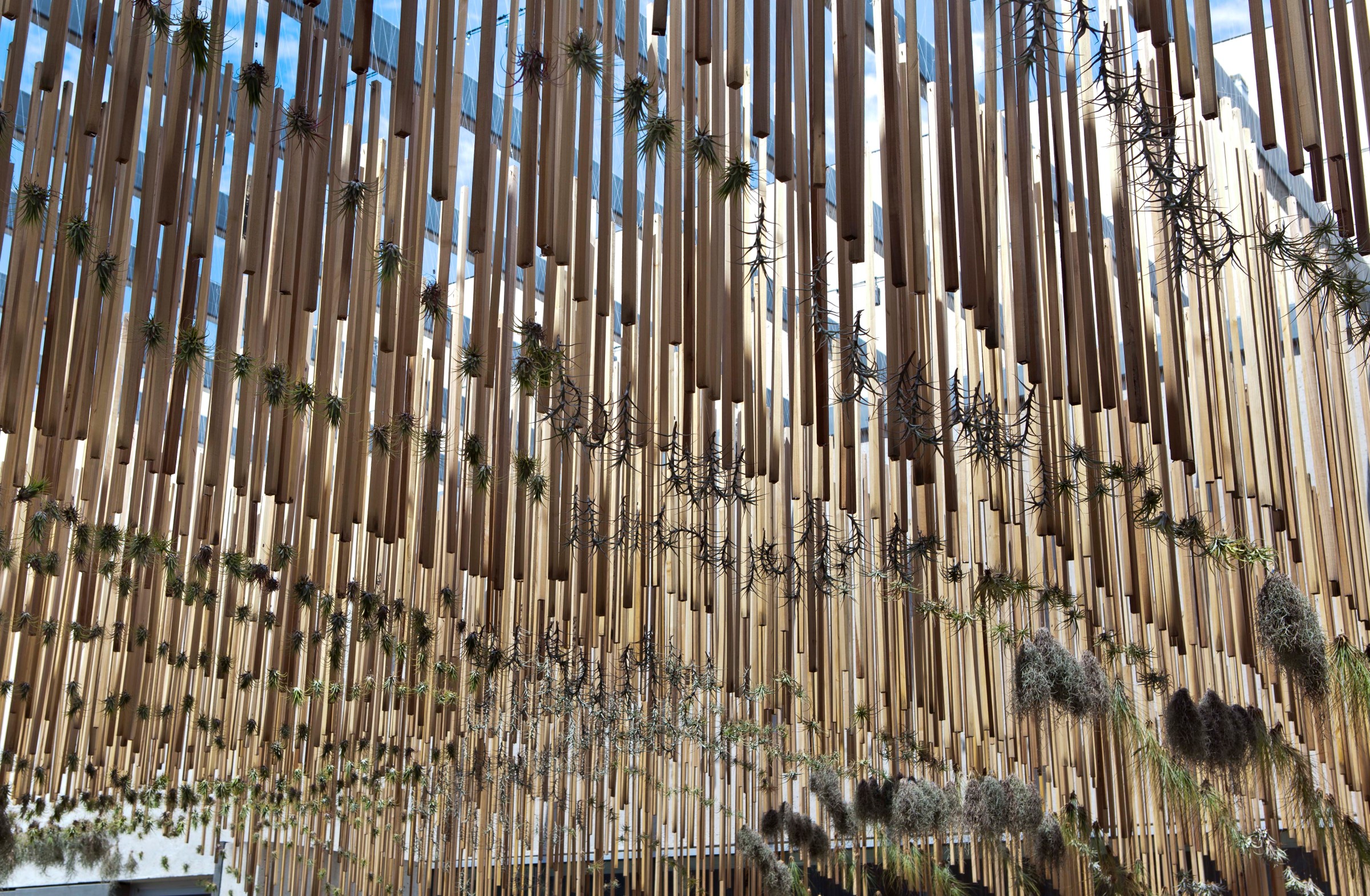 绿色空气丨美国丨nomads.-16