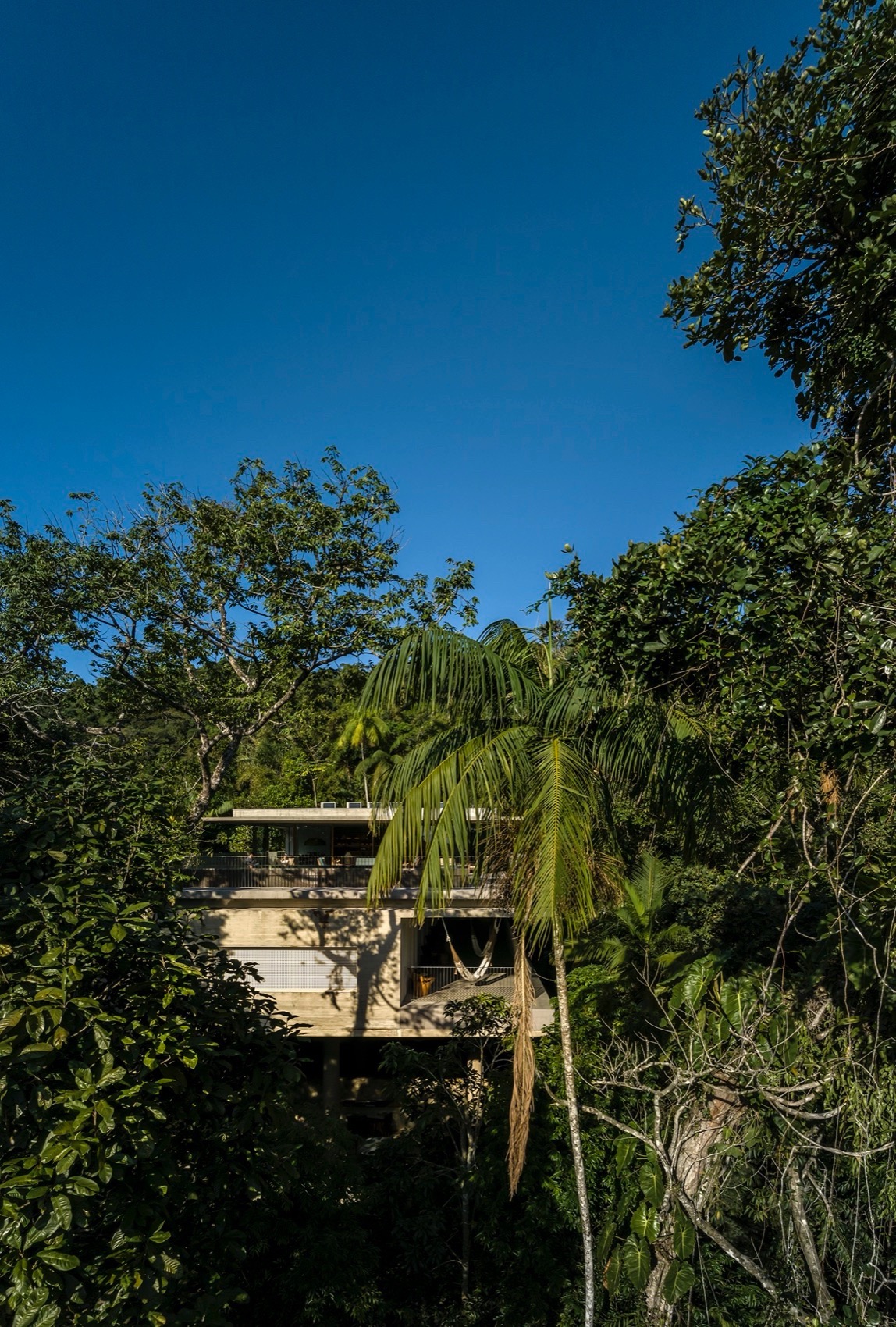 树冠住宅丨巴西圣保罗丨Studio mk27-10