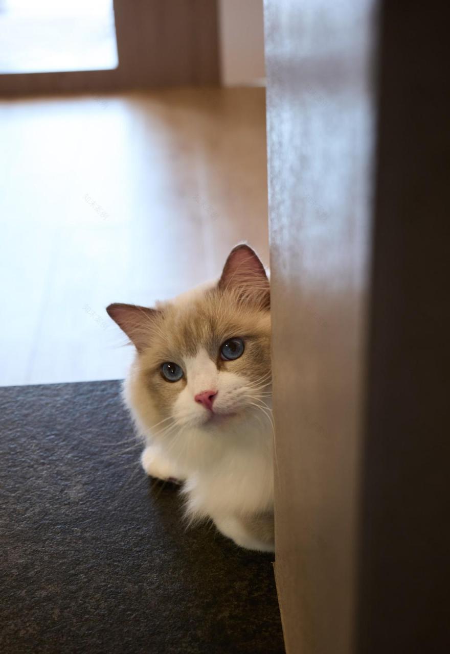 90 后夫妻的阳光婚房-34