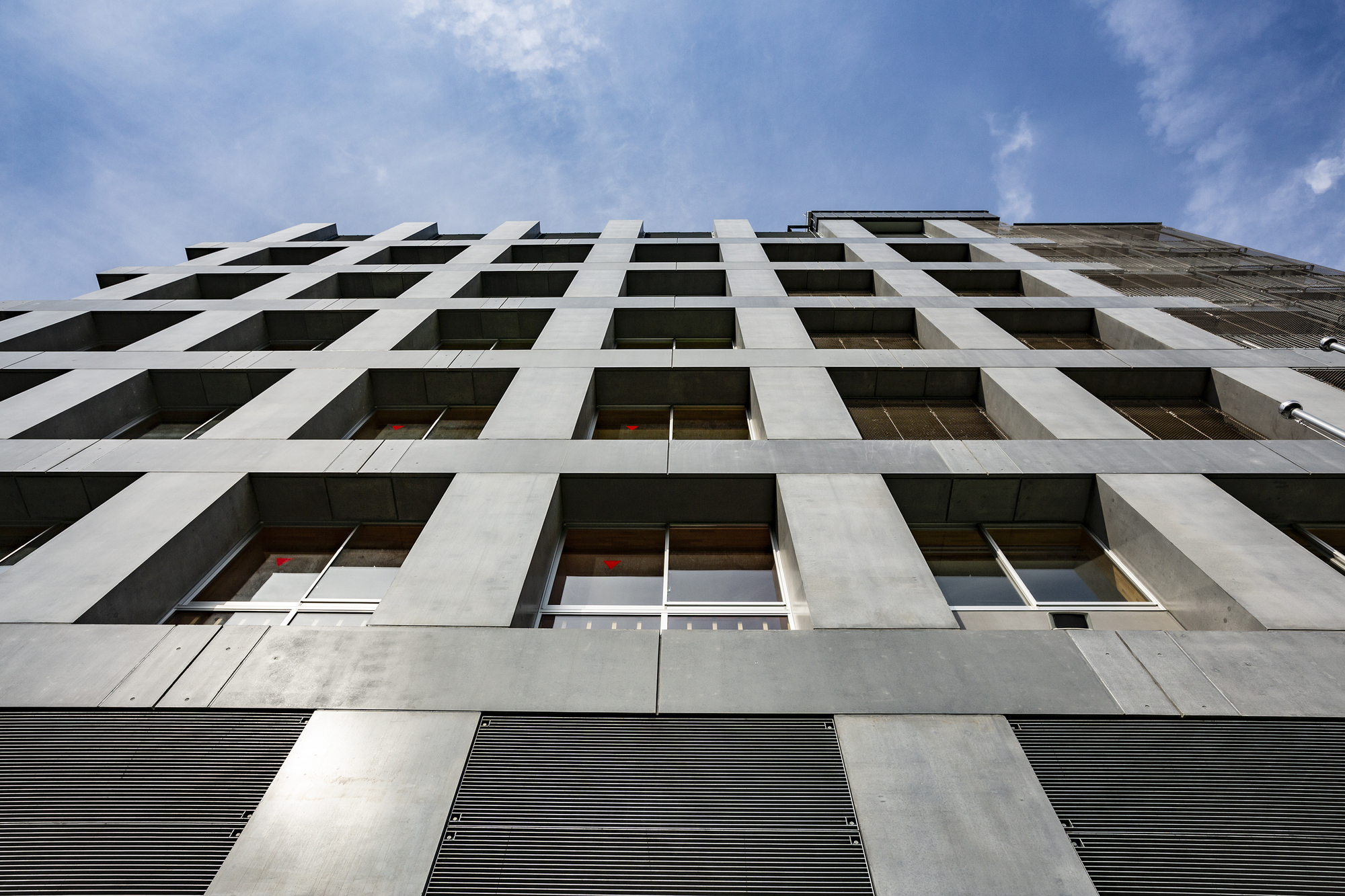 田畑初中丨日本东京丨Coelacanth K&H Architects-33