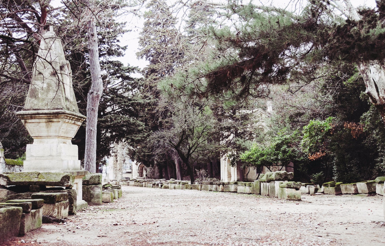 古驰 2019 早春秀 | 死亡与浪漫的奇妙融合-5