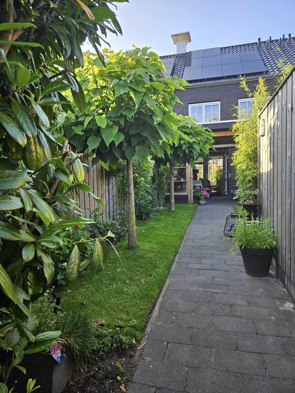 Margreet的带露台小花园丨荷兰阿森-41