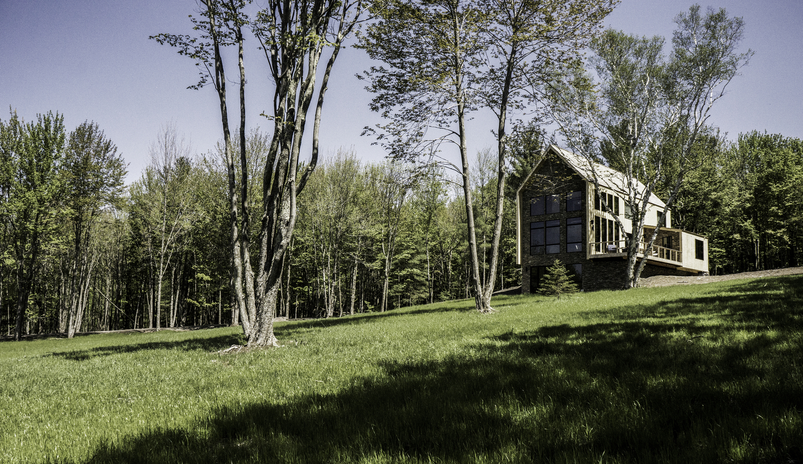 美国杉树与石小屋-6