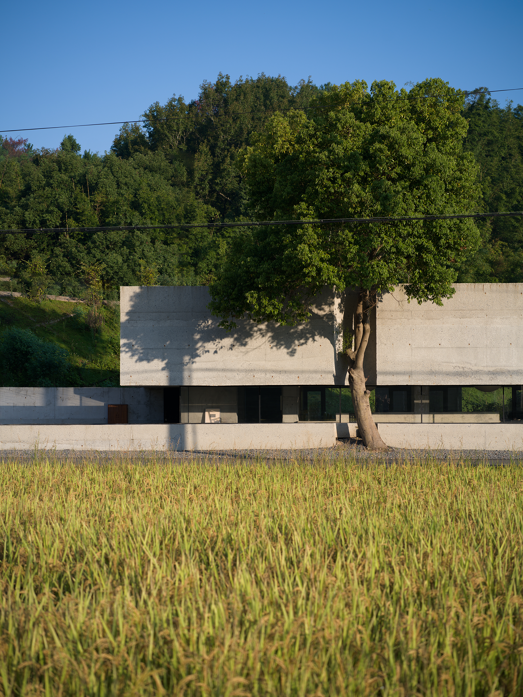 磨迹抹茶  藻溪店丨中国温州丨杭州偲所设计-2