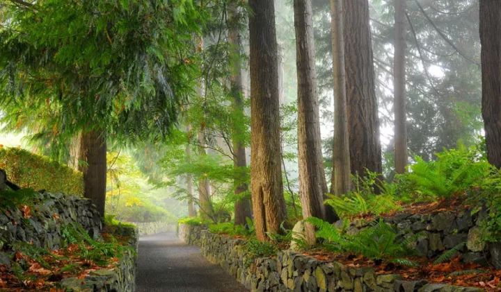 世界上最大的私家花园,迄今已有116年历史!-58